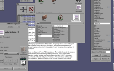 First Contact With The WWW at the University