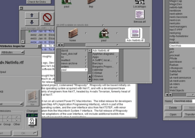 First Contact With The WWW at the University
