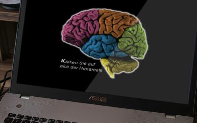superbrain.de Website – The Early Ancestor of my Web Usability Phase