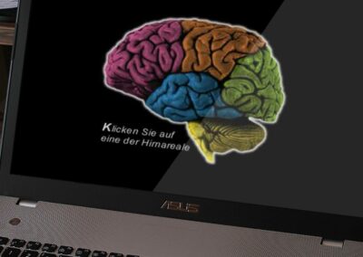superbrain.de Website – The Early Ancestor of my Web Usability Phase