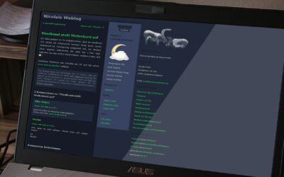 WordPress-Theme: Stone Age