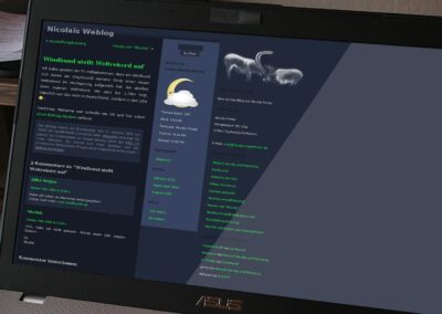 WordPress-Theme: Stone Age