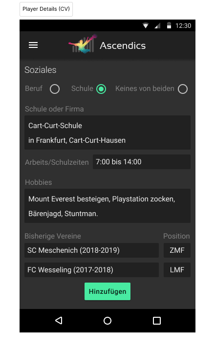 Player Details CV