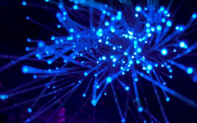Redefining Online Value: Why Likes Don’t Matter, Hyperlinks Do!