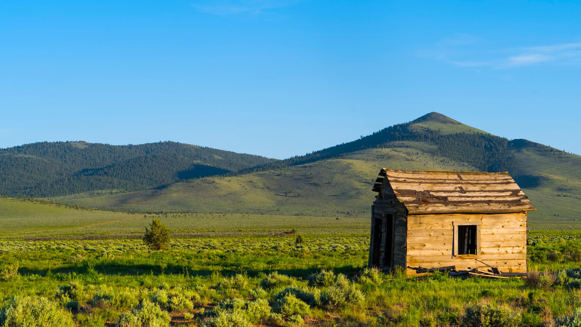 House of a pioneer