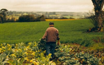 The Price of Self-Sovereignty